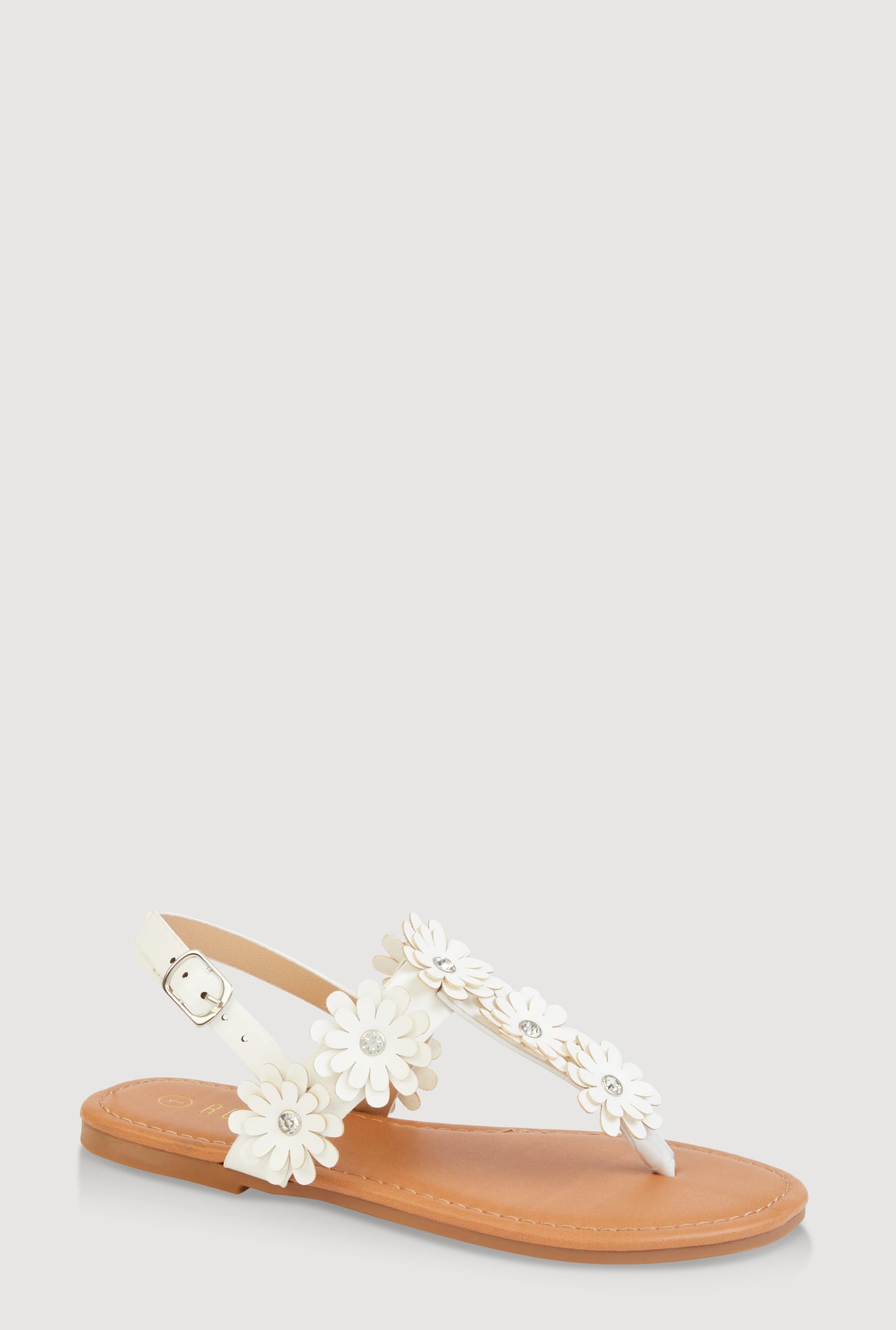 1737070750255010_001