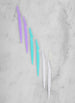 3127068066452407_001