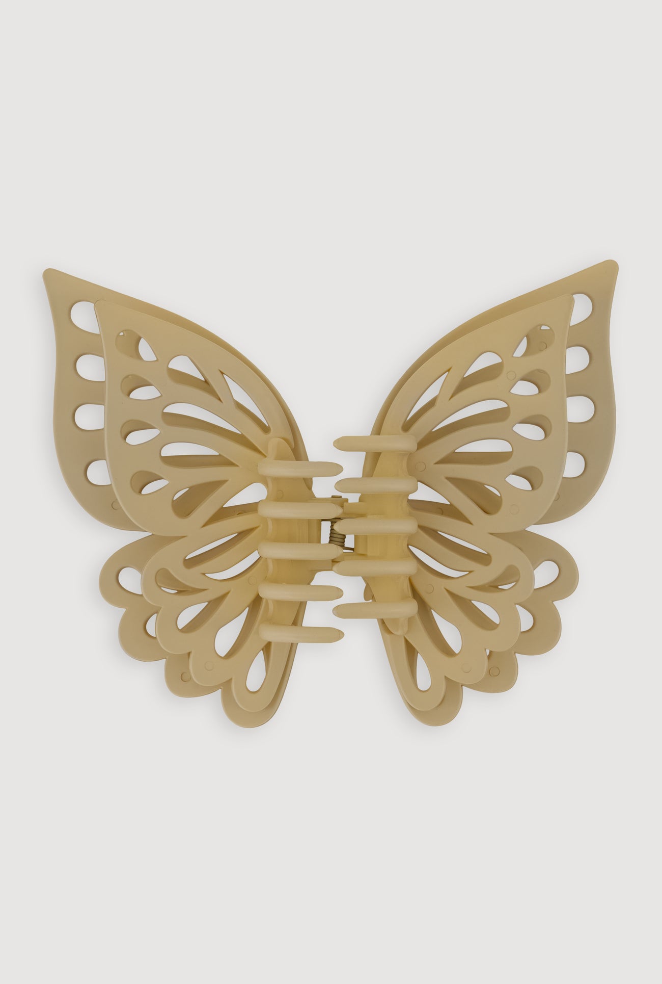 3131057698850024_001