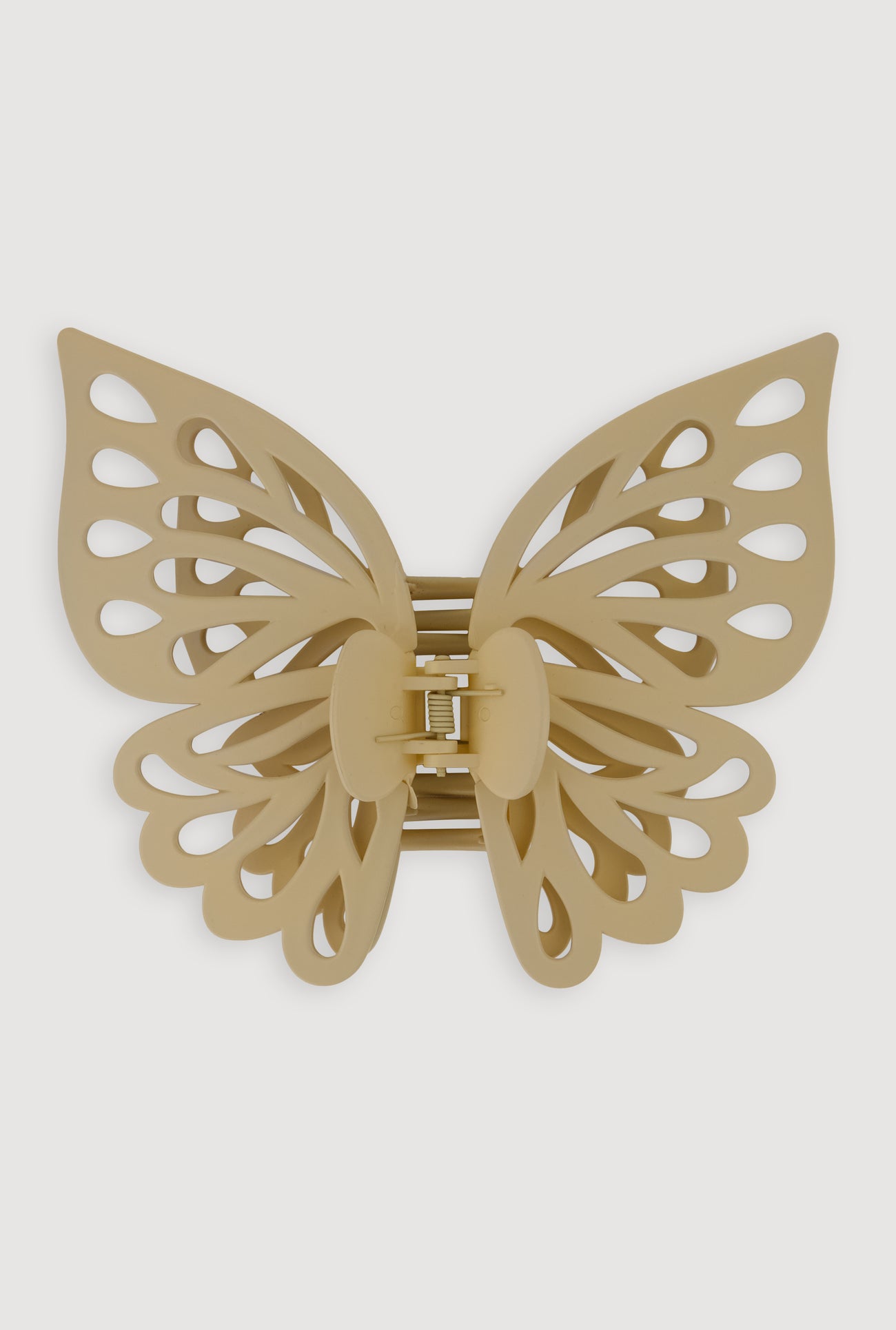 3131057698850024_005