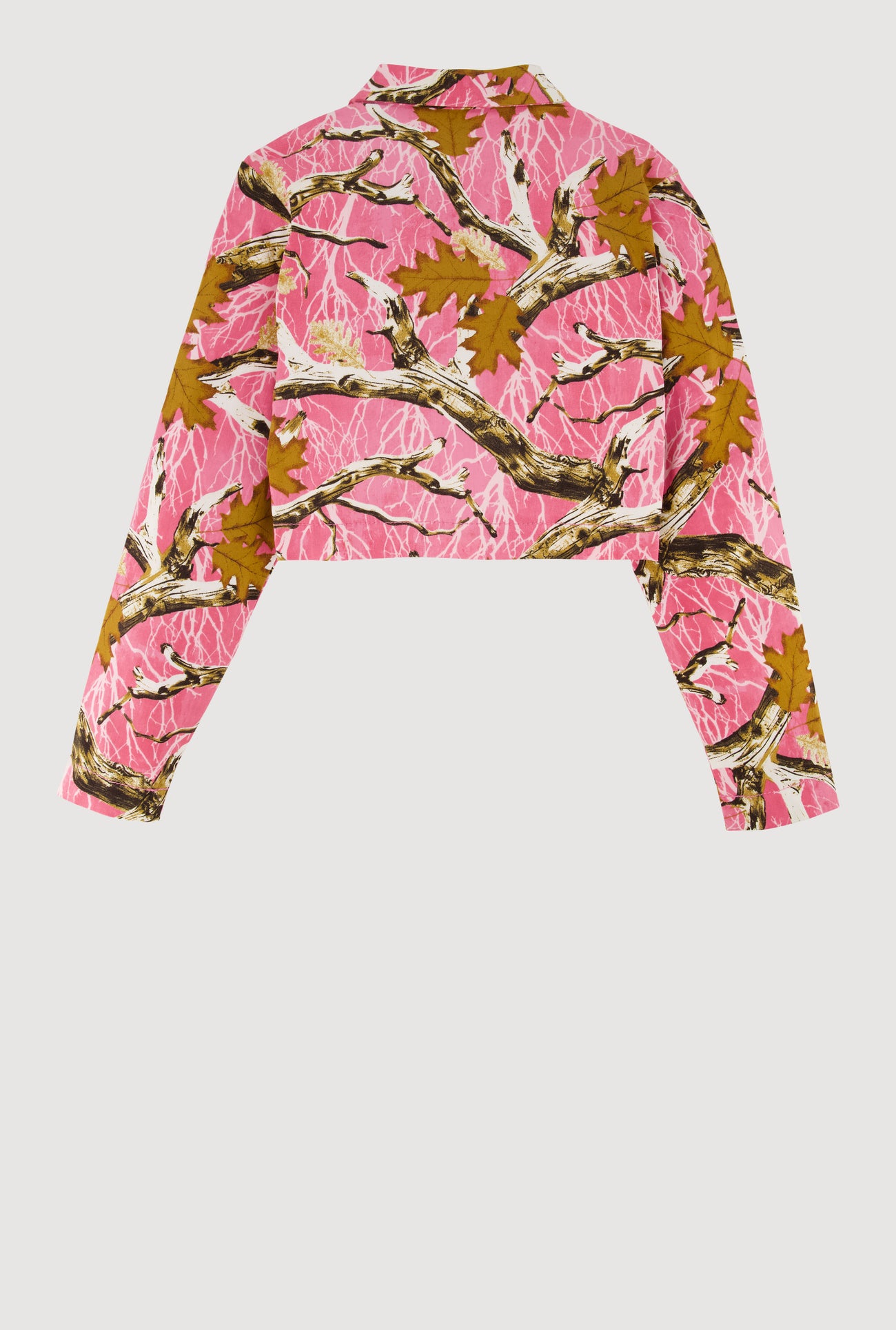 3631056570009066_003