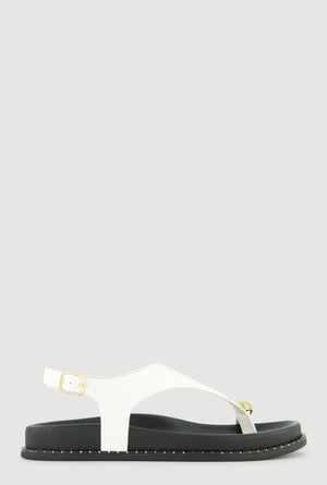 1112004060927010_002