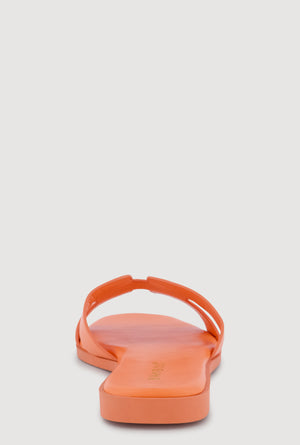 1112004069341080_003