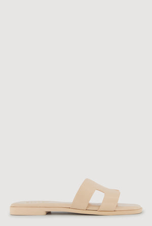 1112004069341312_002