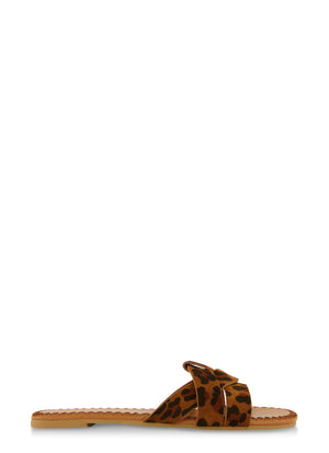 1112070752901397_002