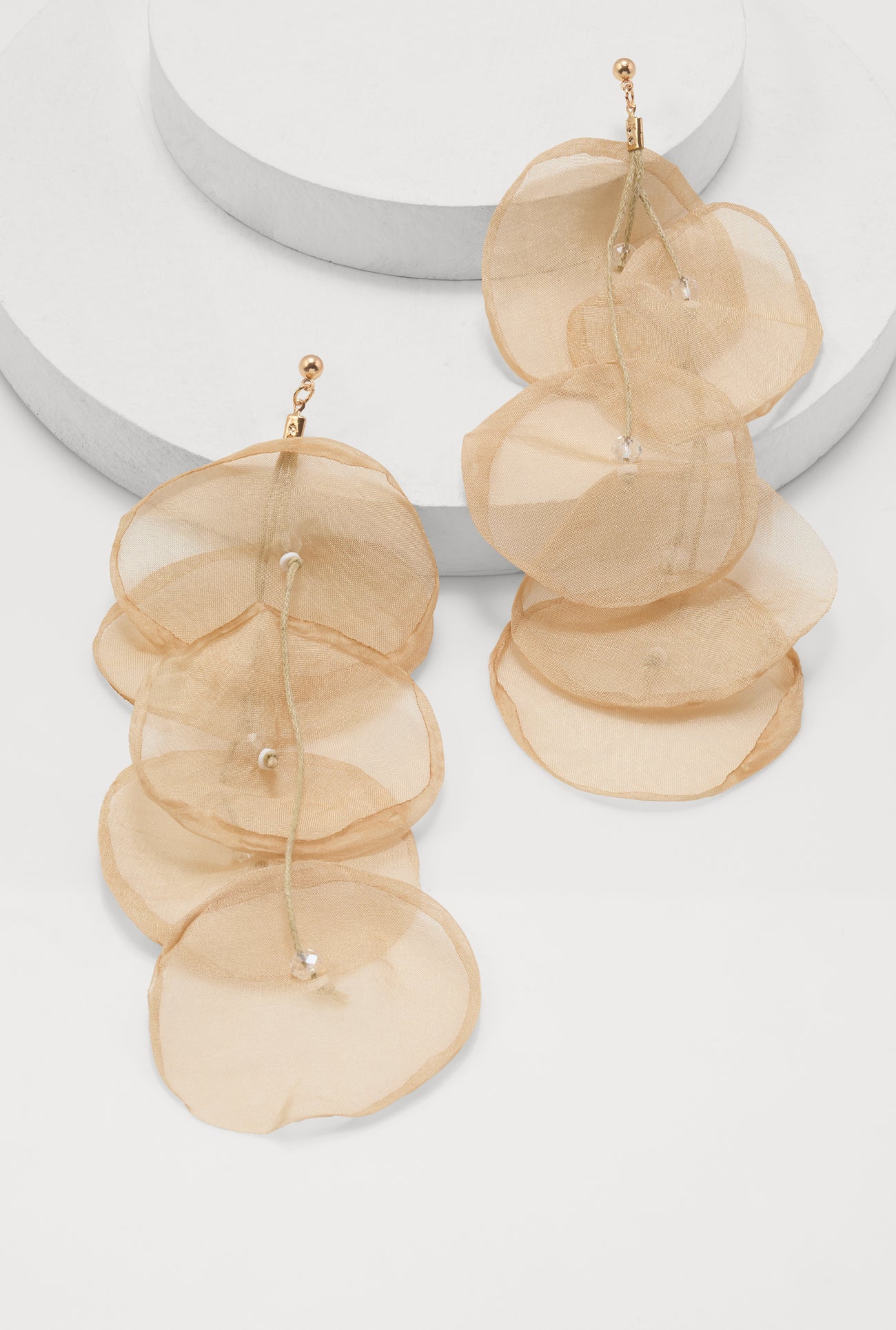 1135076726983024_001