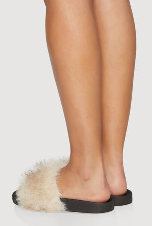 3112004067623016_003