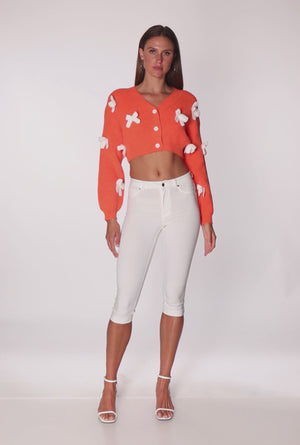 3403064723066080_100