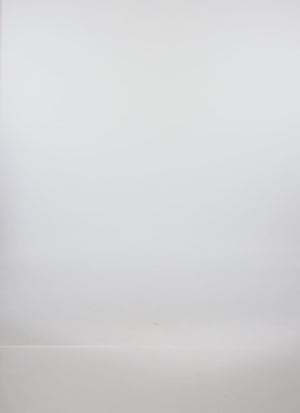 1412054211956001_100