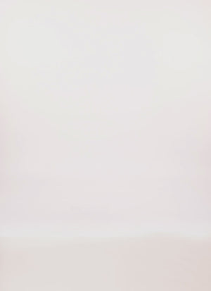 0390073373589066_100