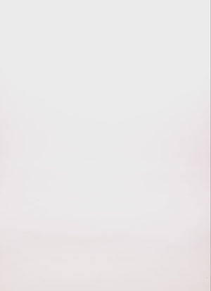 1410033874288024_100