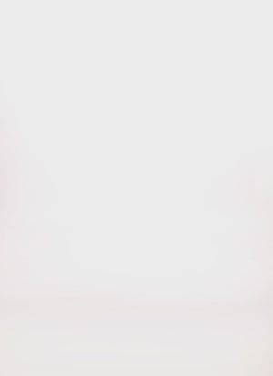 0390073373555001_100