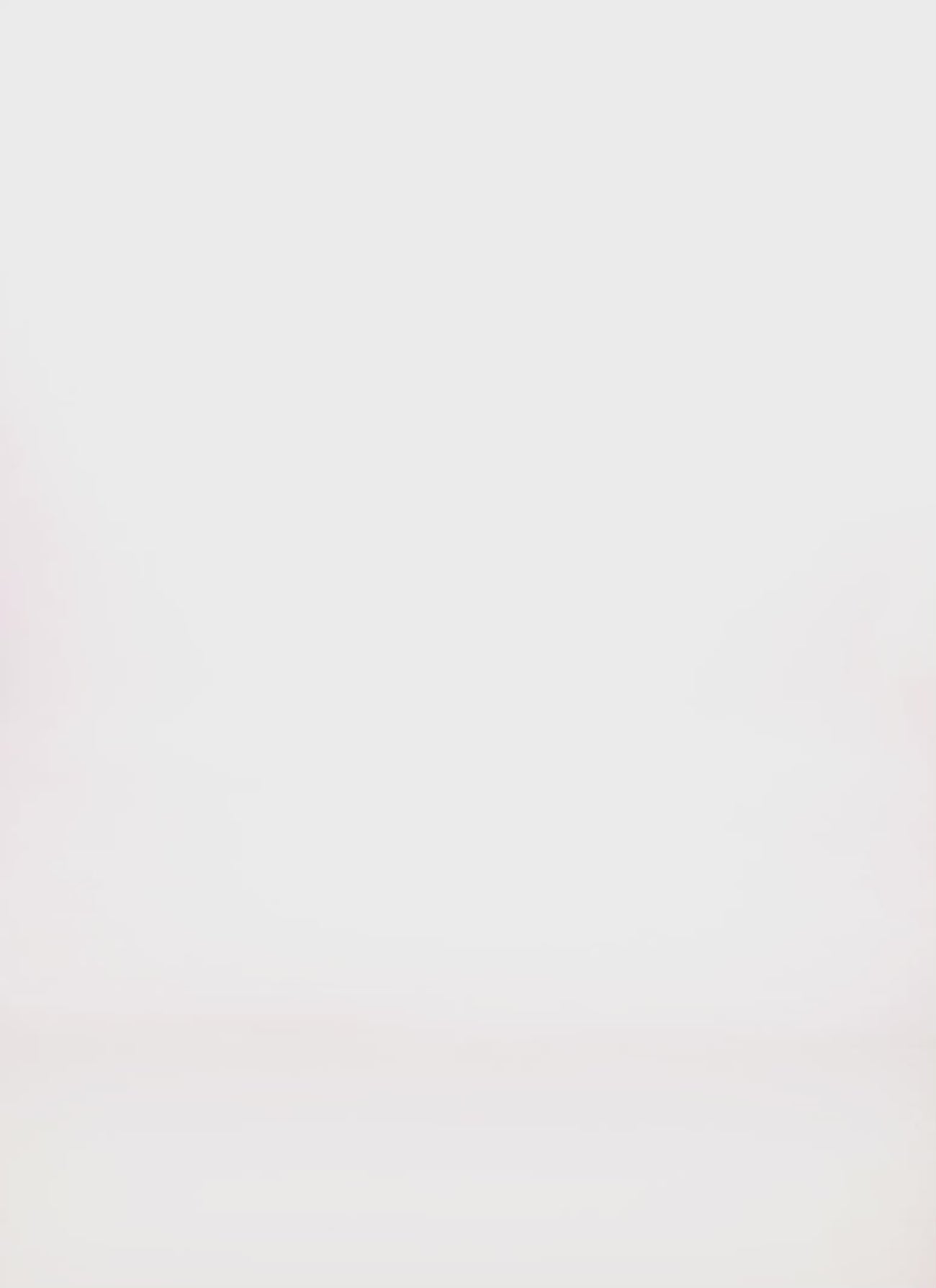 0390073373555001_100