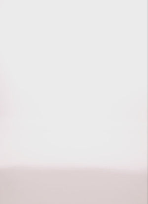 1390038344823032_100