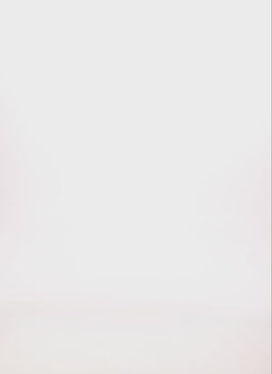 1096054265259020_100