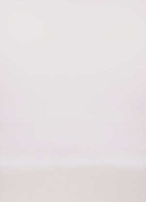 0094038344569001_100