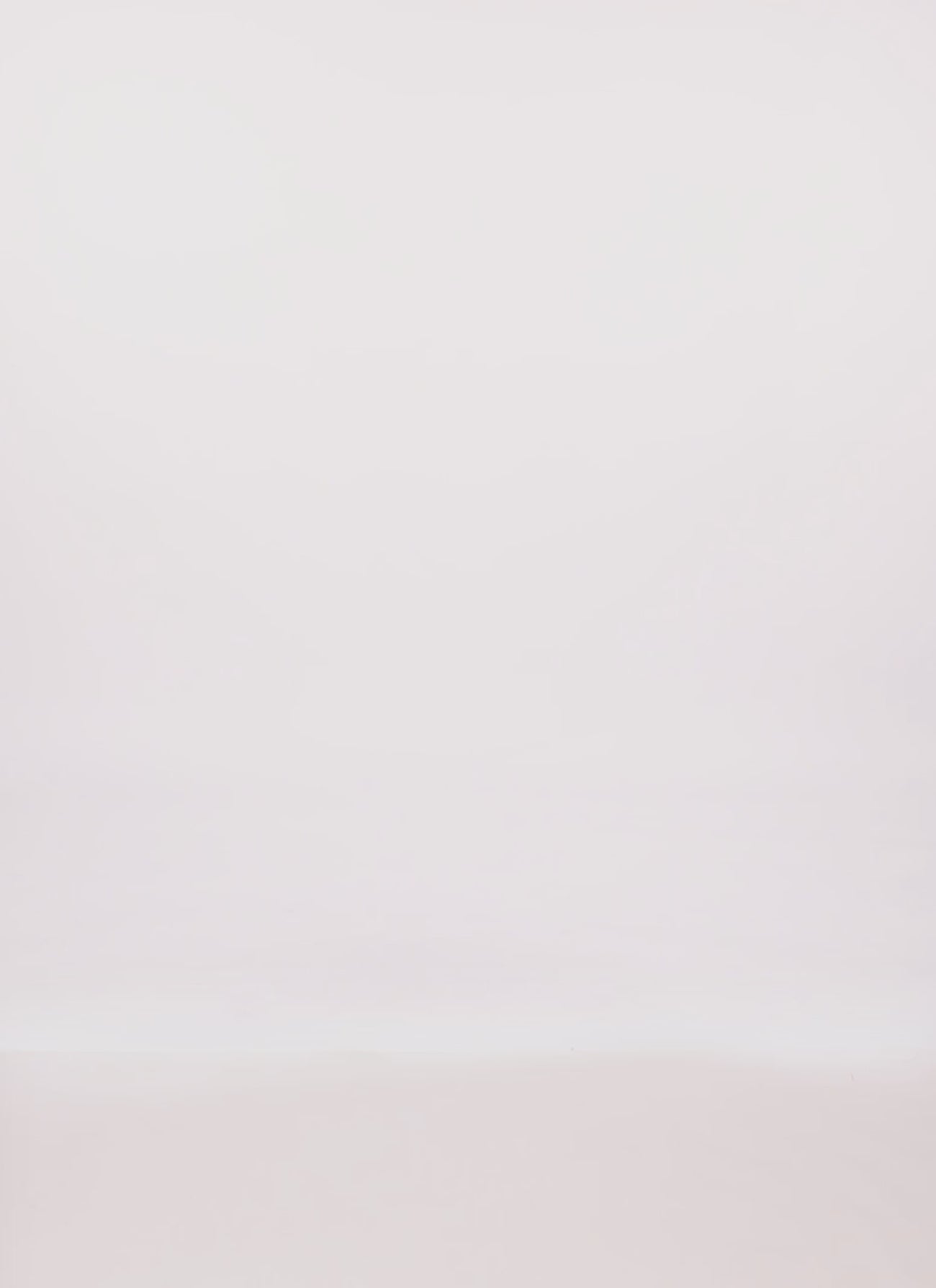 0094038344569001_100