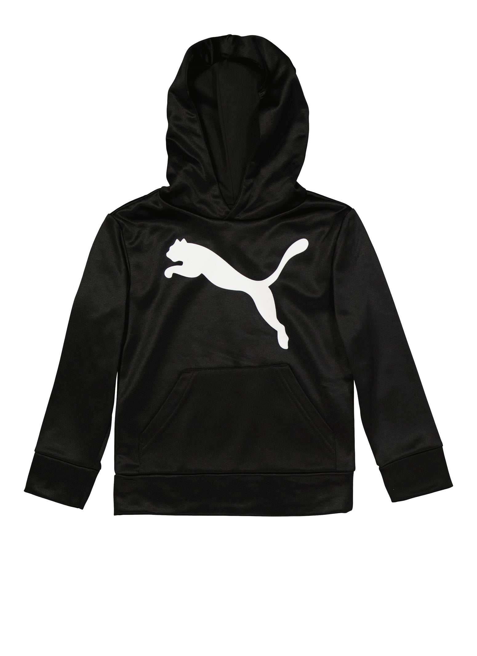 Little Boys Puma Pullover Graphic Hoodie